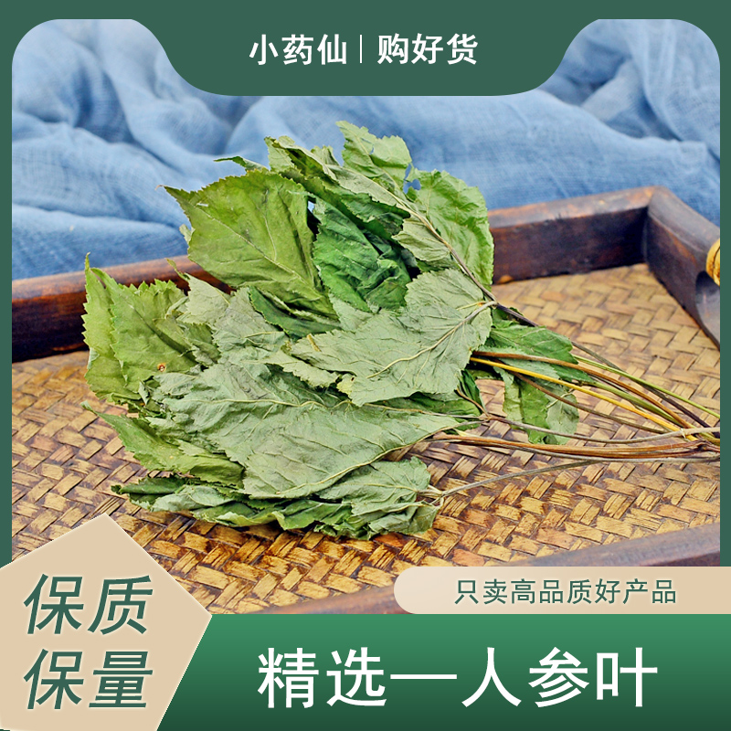 人参叶中药材小药仙正品东北长白山人参苗人参茎叶非野生人参叶粉