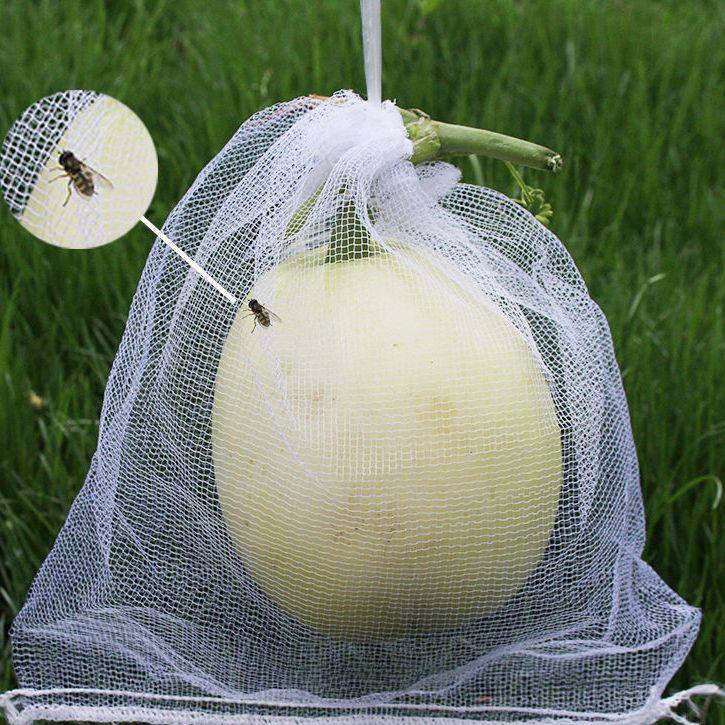 葡萄套袋防鸟网袋水果套袋防虫瓜果蔬菜防虫袋塑料白色网袋浸种袋,户外/登山/野营/旅行用品,鱼网/虾笼/其它渔具,淘宝优惠券,粉丝福利购,淘宝优惠卷