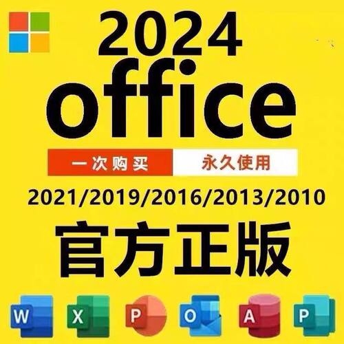 正版office2024/2021/2019/2016办公软件安装word excel ppt远程