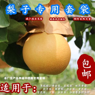 锦果农梨子专用套袋翠冠梨袋黄金梨袋防水果袋减少病虫鸟害水果袋