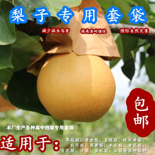 锦果农高档梨专用套袋防虫防鸟袋