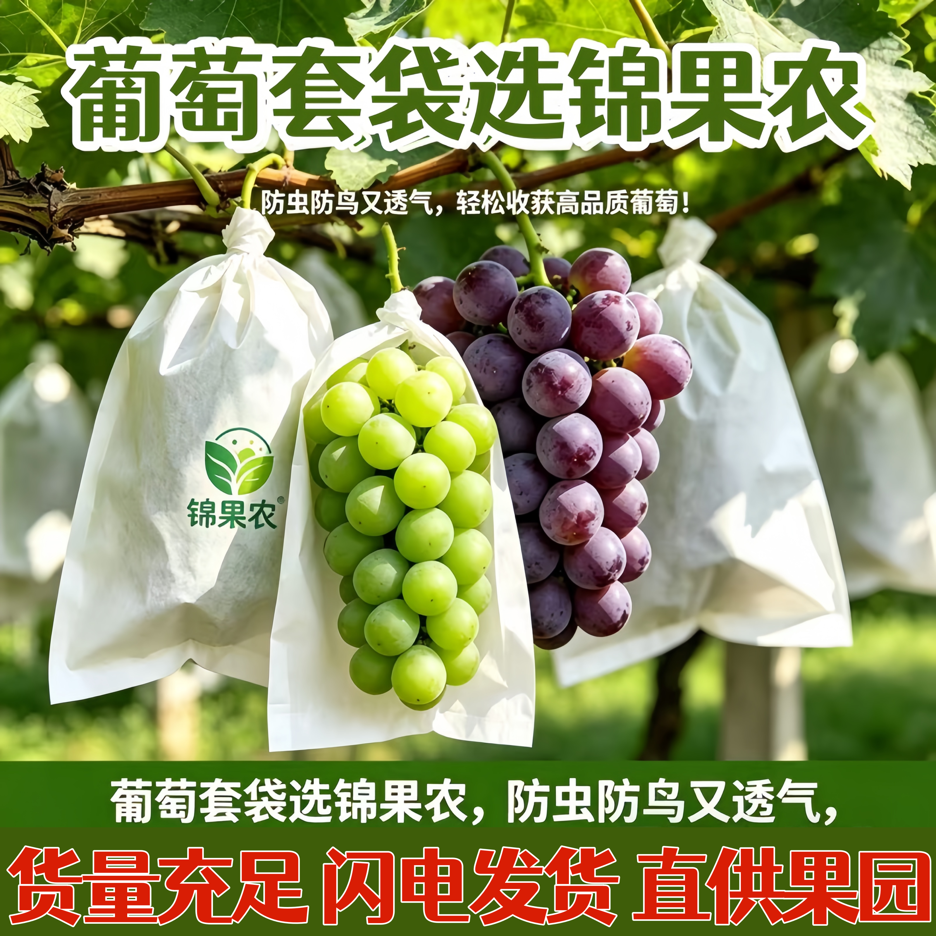 葡萄专用套袋防鸟袋露天葡萄袋防水防虫套树上的袋子白色纸袋包邮