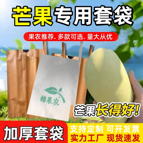 芒果专用套袋防虫防晒加厚金煌芒