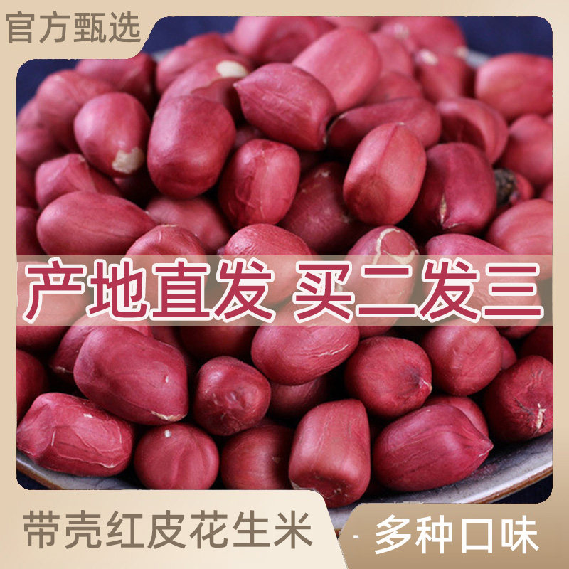花生红皮红皮花生黑花生米带壳七彩花生晒干种子新鲜红皮花生零食
