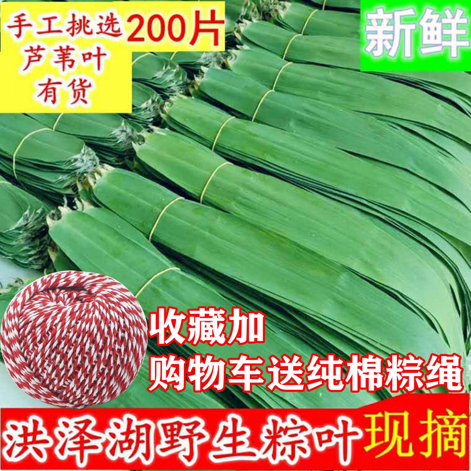 芦苇叶粽叶野生天然新鲜芦苇叶端午节包粽子叶新鲜现摘200片免邮