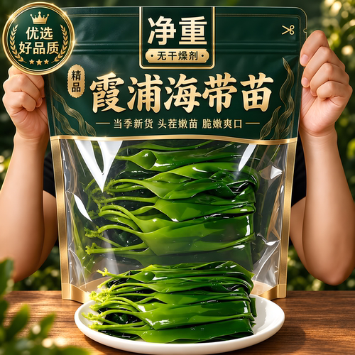 霞浦盐渍海带苗嫩火锅凉拌煲汤