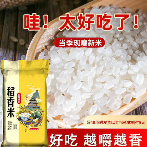 噶姬仁新米稻花长粒香