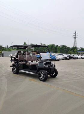 4座6座高尔夫球车外贸出口球场景区旅游机场摆渡接驳车电动观光车