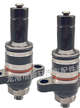 F019D03313高压共轨油泵柱塞2.2电喷适用全新潍柴柴油喷油泵