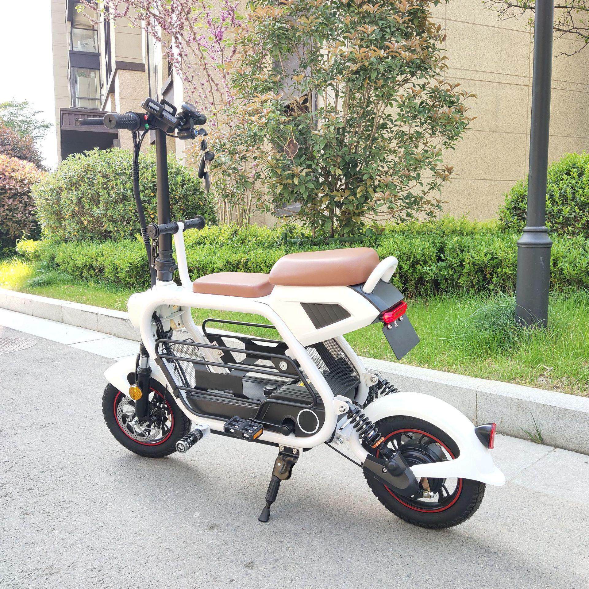 自行动车出口战警电动车宠物锂电池电动车锂电锂电池