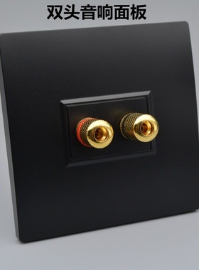 黑色双头音响面板开关插座一位音箱喇叭线墙壁面板接线柱开关面板