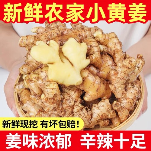 小黄姜新鲜农家沙姜生姜老姜月子