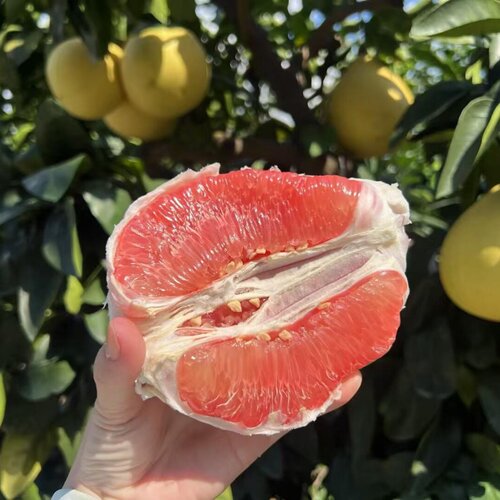 广西红心柚子正宗红肉蜜柚皮薄甜