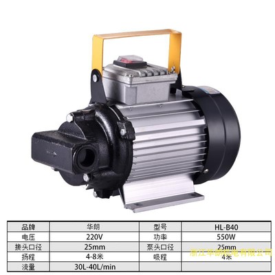 家用新款铸铝f大功率加油泵自吸电泵交流柴油液压机油齿轮油泵铜