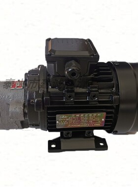 CBW-B2.5/CB-B4/CB-B6JZ/CB-B10JZ锯床齿轮油泵电机三相550W/370W