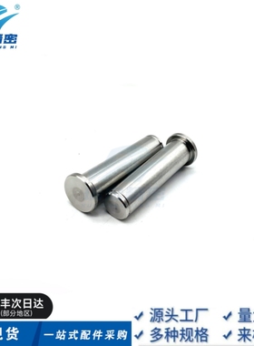 替代HCCG6/8/10/12/5/4-15-20/25/30铰链销 带肩扣环固定型