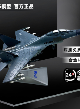 歼16模型战斗机合金仿真j16飞机军事金属模型玩具摆件退伍纪念品