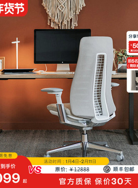 Haworth海沃氏 Fern人体工学椅办公椅子护腰升降久坐电竞椅旗舰款