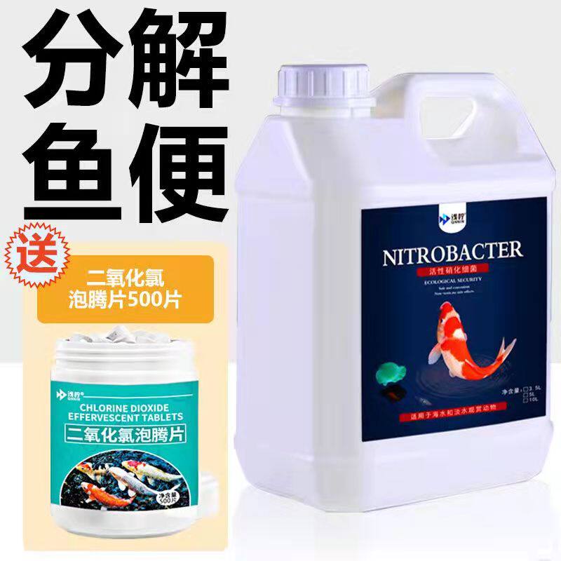 锦鲤鱼池硝化细菌鱼缸用红龙硝化菌消化水质清澈净水剂除藻5L升桶