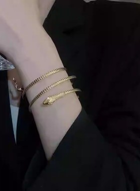 2026设计感蛇形缠绕金属手镯欧美高级感气质手环新款时尚大气臂环