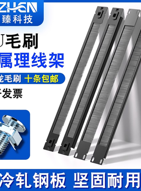 顶臻免螺丝卡扣毛刷盲板 便捷阻燃免安装 免工具理线架面板机房1u6u12u42u机柜防尘网络理线器