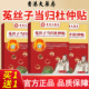 香港大药房菟丝子当归杜仲贴专用贴官方旗舰店正品 官方正品