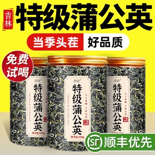 特级野生蒲公英中药材正宗新鲜金银花泡水喝结茶正品官方旗舰店zz