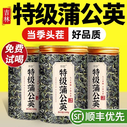 【特优级精选】特级蒲公英中药材
