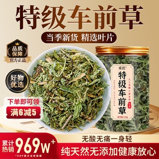 特级新鲜车前草纯野生干货中药材蒲公英夏枯草茶正品官方旗舰店zz