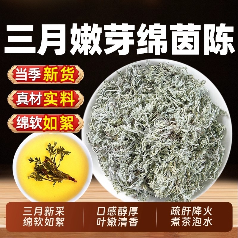 野生茵陈五味子中药材干货正品官方旗舰店新白蒿三月绵茵陈泡水ZZ