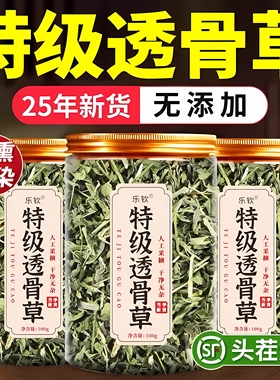 特级透骨草中药材正品旗舰店野生珍珠透骨草正品新货伸筋草泡茶zz