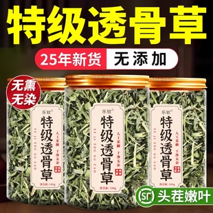 特级透骨草中药材正品旗舰店野生珍珠透骨草正品新货伸筋草泡茶zz