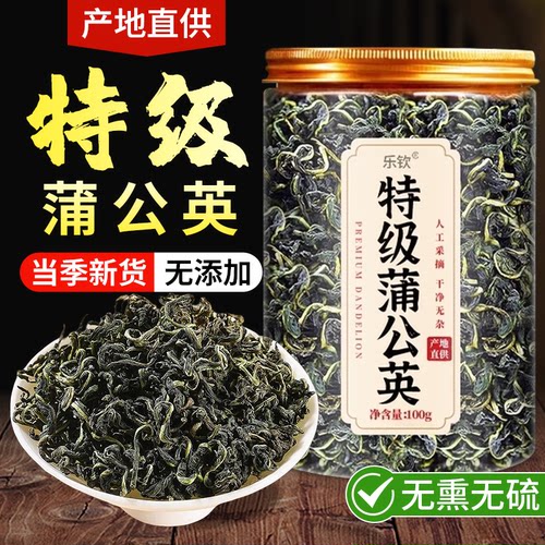 特级长白山蒲公英疏肝散结好帮手
