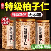 柏子仁中药材正品 官方旗舰店柏籽仁茶泡水特级干货野生新货去壳ZZ