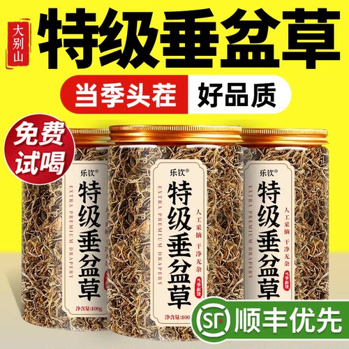 【特优级精选】特级垂盆草中药材