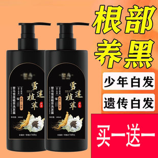 塑乌雪莲草本植萃洗护润黑露养黑洗发露润养面部洗发水健康1cd