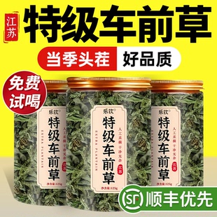 特级新鲜车前草纯野生干货中药材蒲公英夏枯草茶正品官方旗舰店zz