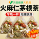 火麻仁茅根茶痔舒汤鲜白茅根槐花栀子鱼腥草茯苓橘皮金银花茶包cc