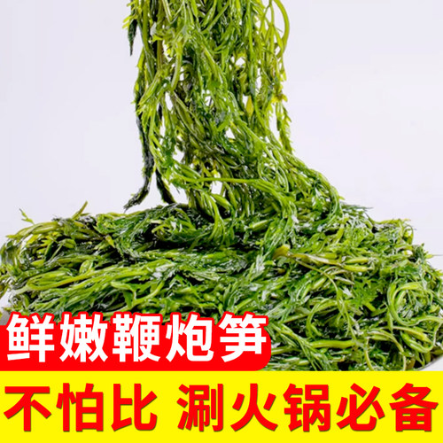 鞭炮笋凉拌菜盐渍马尾藻火锅食材海麻辣烫冒菜炮仗笋海草笋长寿菜