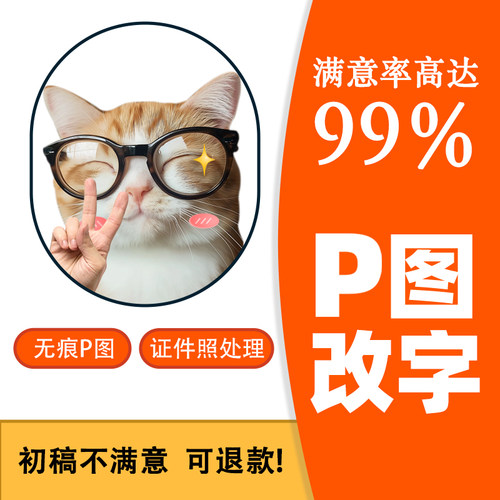 专业无痕P图改字PDF改字改图PS图片证件照改颜