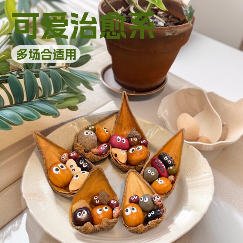 永生花系列油画莲瓢干果冰箱贴天然植物冰箱贴可爱豆子表情疗愈系