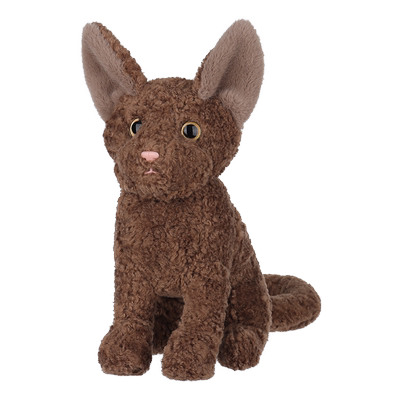 Apricotlamb德文卷毛猫糊糊