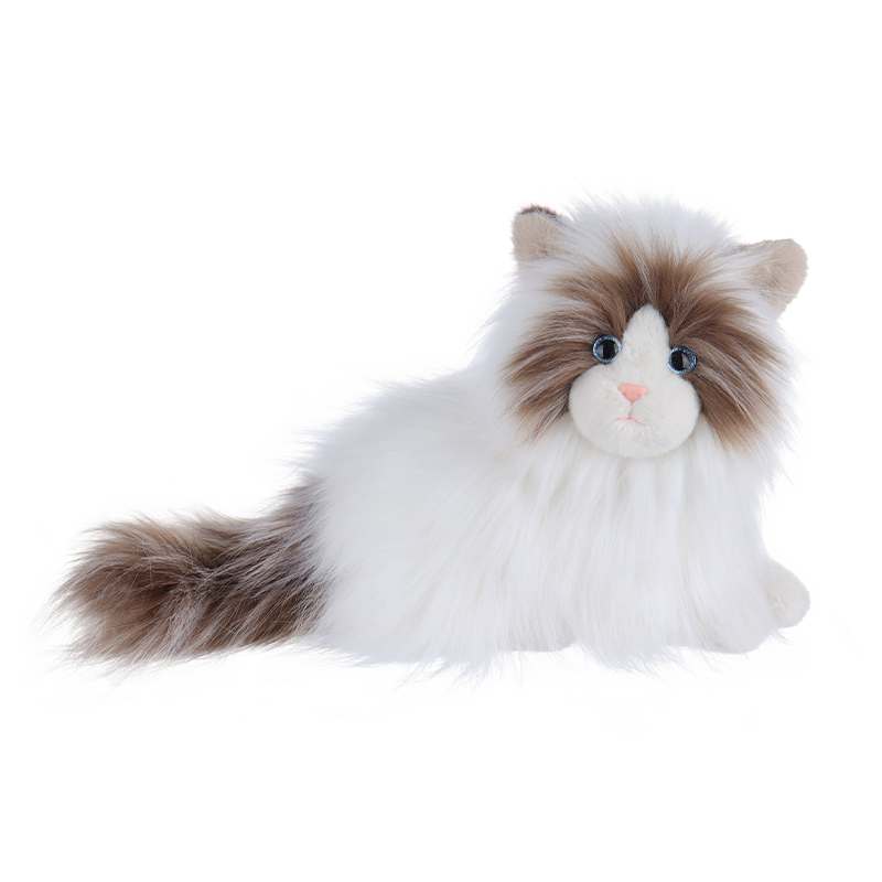 Apricotlamb双色布偶猫