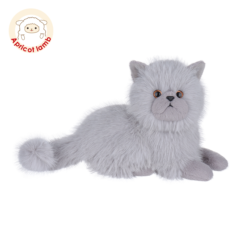 Apricotlamb灰色波斯猫趣趣