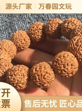 2026源头包邮【新品特卖】尼泊尔大金刚菩提手串五5瓣20爆肉双龙