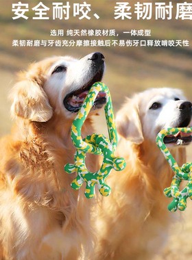 5ABONE宠物狗狗金毛小狗玩具互动磨牙耐咬拉幼犬泰迪狗用品