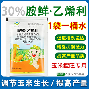 胺鲜酯乙希利玉米控旺长专用药增产生长调节剂农药 30%胺鲜乙烯利
