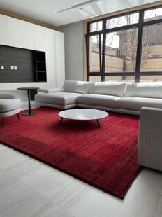 WOVENTALES天织中东原装 手工羊毛进口现代Shiraz地毯客厅卧室