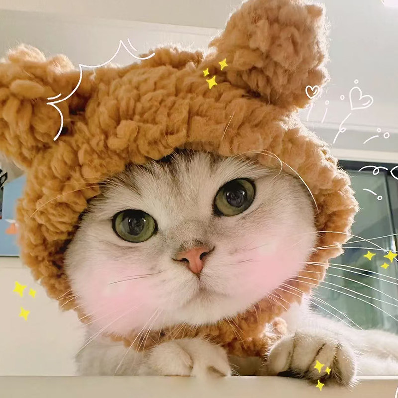 宠物猫咪可爱小熊头套帽子搞怪装