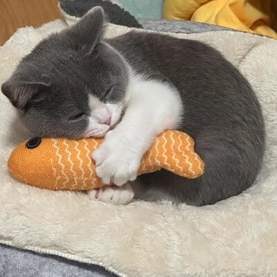 小猫玩具自嗨解闷小鱼造型逗猫棒